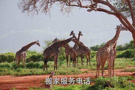 同城搬家网,58 同城 搬家