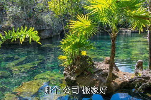 哪个 公司 搬家好