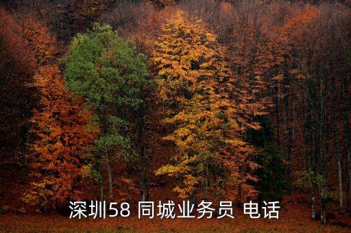 深圳58 同城业务员 电话
