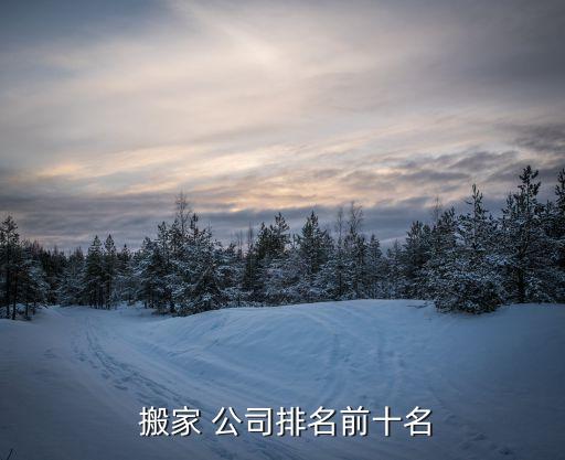 小型搬家公司都有哪些