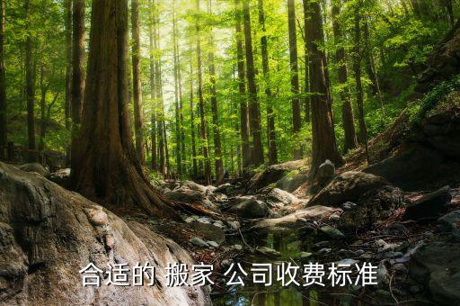合适的 搬家 公司收费标准
