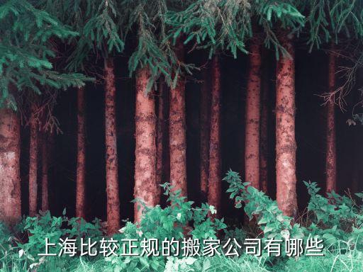 上海比较正规的搬家公司有哪些