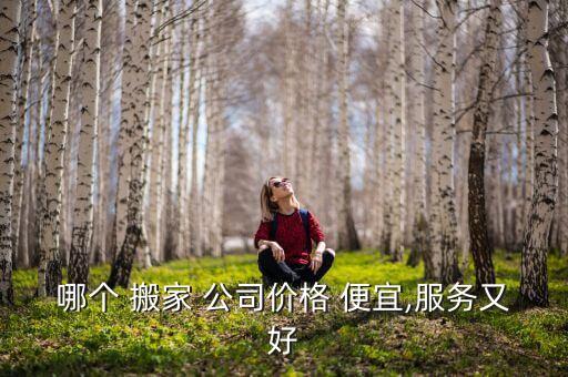 哪个 搬家 公司价格 便宜,服务又好