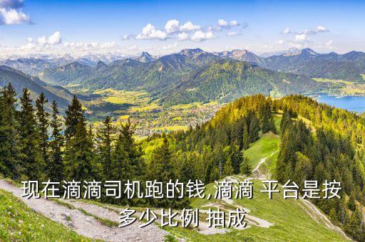 快狗打车平台每单抽成多少