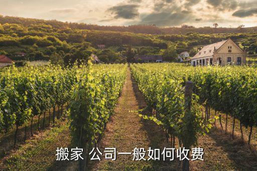 景洪搬家公司一车多少钱,西双版纳景洪搬家公司