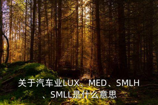关于汽车业LUX、MED、SMLH、SMLL是什么意思