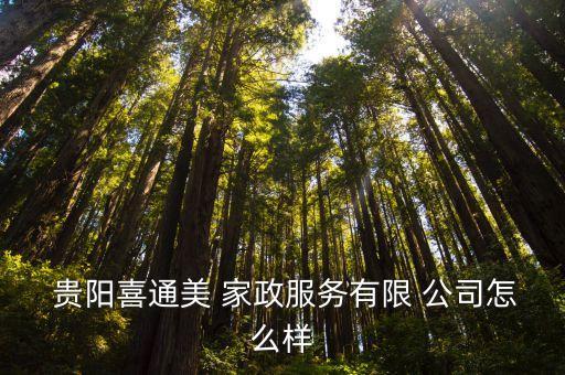  贵阳喜通美 家政服务有限 公司怎么样