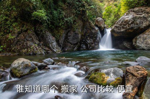 龙港搬家公司哪家最便宜,沈阳搬家公司哪家好和便宜