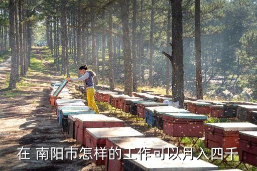 在 南阳市怎样的工作可以月入四千