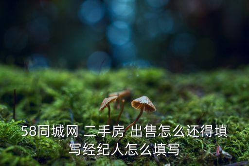 58同城网 二手房 出售怎么还得填写经纪人怎么填写