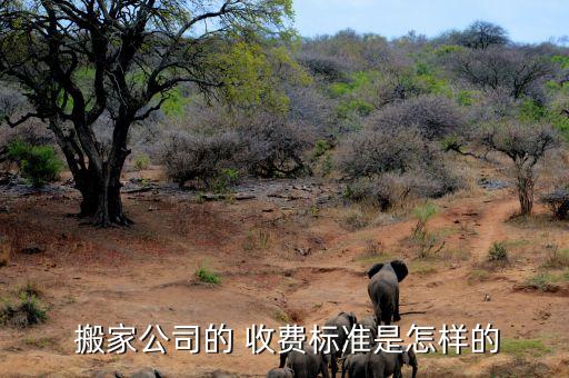 保定市搬家怎么收费,请人搬家是怎么收费的