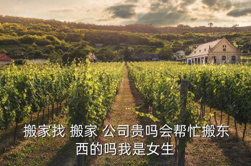 搬家公司 帮打包