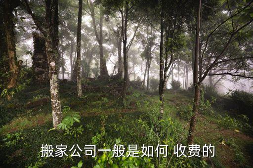  搬家公司一般是如何 收费的