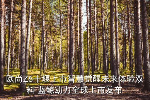蓝鲸托管团队,苏州大蓝鲸酒店托管怎么样