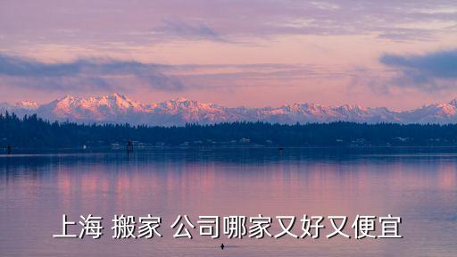 上海 搬家 公司哪家又好又便宜