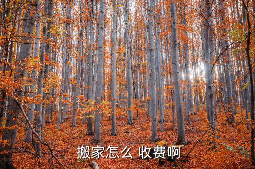 个人搬家公司收费,北京搬家公司收费价目表