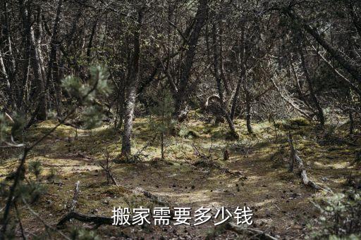  搬家需要多少钱