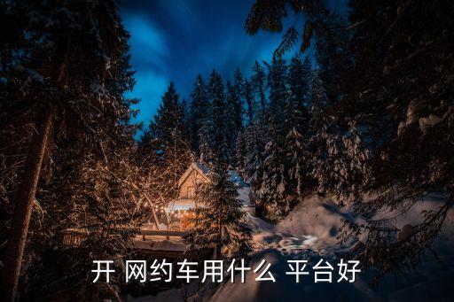 开 网约车用什么 平台好