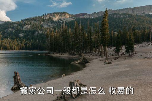  搬家公司一般都是怎么 收费的