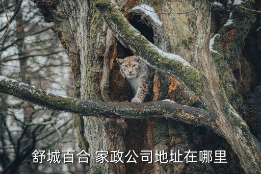 婺源家政服务
