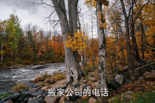  搬家公司的电话