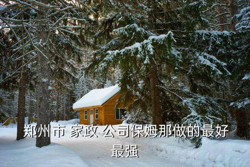  郑州市 家政 公司保姆那做的最好最强
