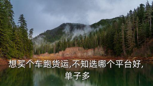 想买个车跑货运,不知选哪个平台好, 单子多