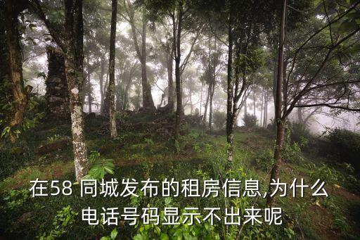 在58 同城发布的租房信息,为什么 电话号码显示不出来呢
