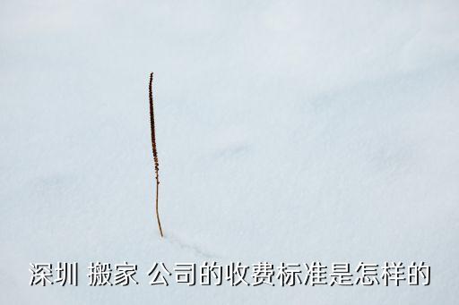 深圳 搬家 公司的收费标准是怎样的