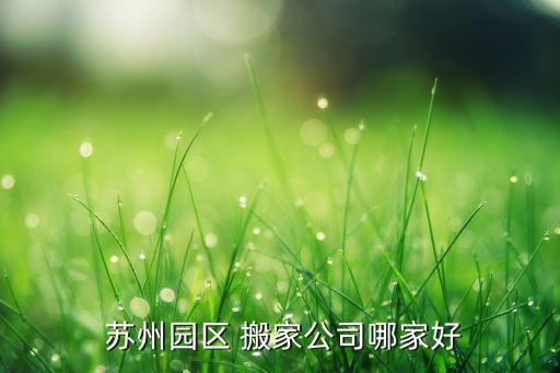  苏州园区 搬家公司哪家好