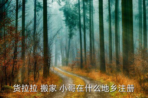 货拉拉 搬家 小哥在什么地乡注册
