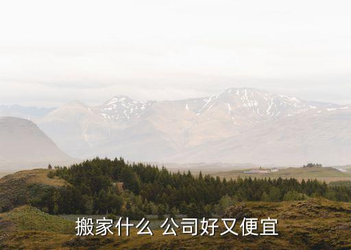 五家渠搬家公司哪个好,找搬家公司在哪个平台上找
