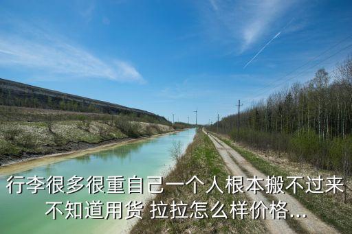 行李很多很重自己一个人根本搬不过来不知道用货 拉拉怎么样价格...