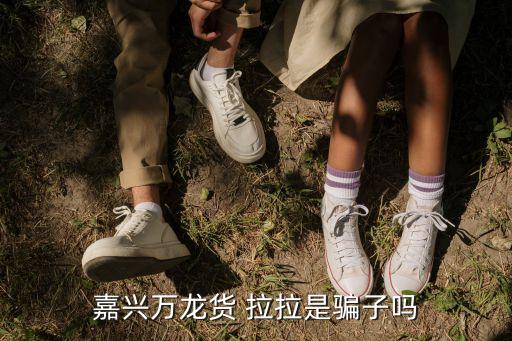 嘉兴万龙货 拉拉是骗子吗