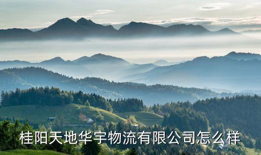桂阳天地华宇物流有限公司怎么样