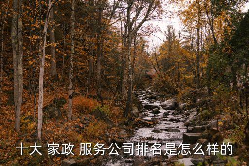十大 家政 服务公司排名是怎么样的