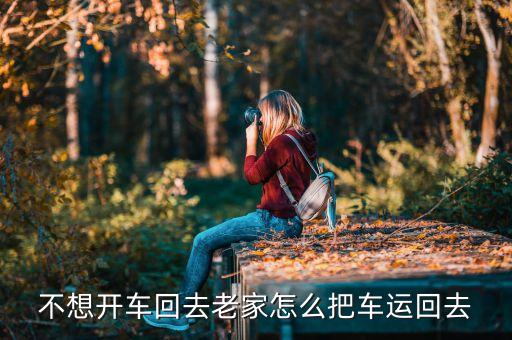 怎么托运车到外地,车从外地托运回来多少钱