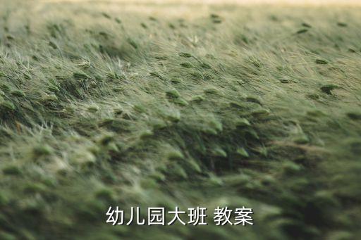 幼儿园大班 教案
