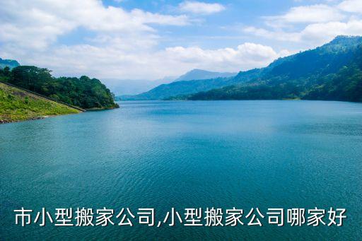 重庆市小型搬家公司,小型搬家公司哪家好