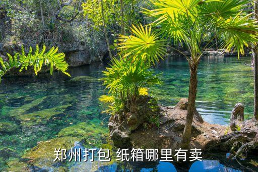 郑州打包 纸箱哪里有卖