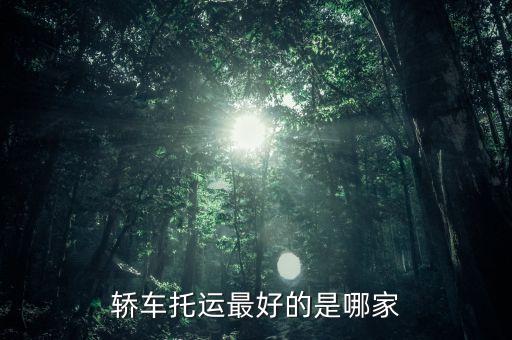 轿车托运最好的是哪家
