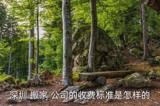 搬家公司搬个柜子多少钱