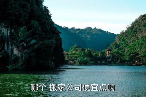 重庆蚂蚁搬家