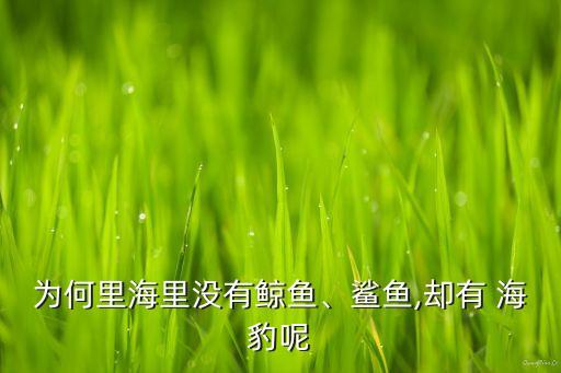 海豹会迁徙吗,又到了海豹迁徙的季节