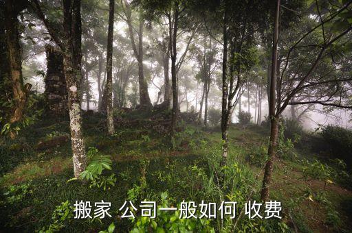  搬家 公司一般如何 收费