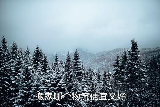  搬家哪个物流便宜又好