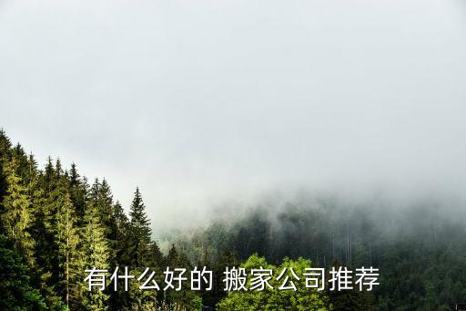 有什么好的 搬家公司推荐