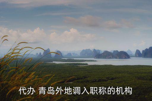 代办 青岛外地调入职称的机构