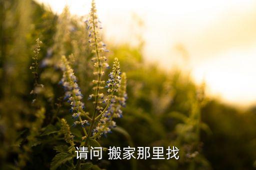 呼和浩特搬家公司的电话号码,哈尔滨搬家公司电话号码