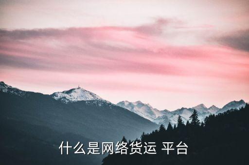 什么是网络货运 平台
